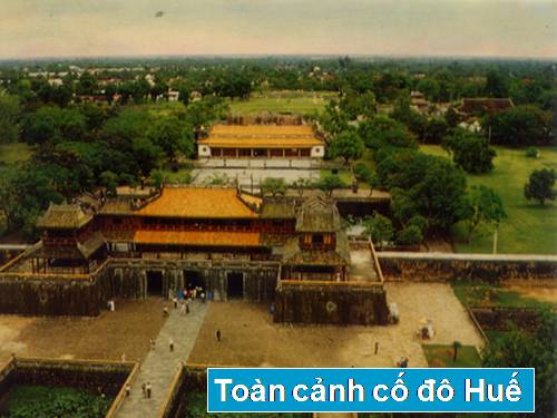 Bài 28. Tìm hiểu chung về văn bản hành chính