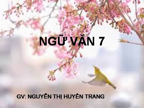 Bài 26. Luyện tập lập luận giải thích