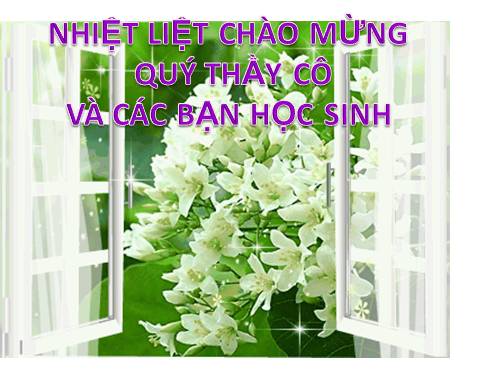 Bài 24. Chuyển đổi câu chủ động thành câu bị động (tiếp theo)