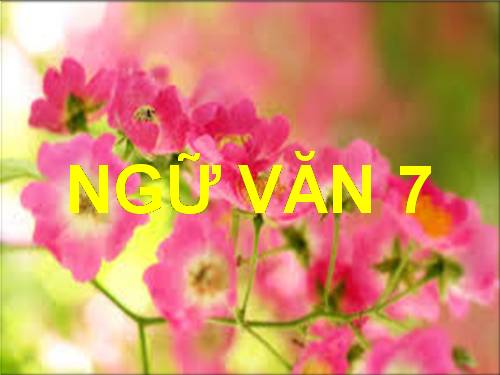 Bài 25. Ôn tập văn nghị luận