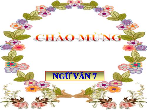 Bài 24. Chuyển đổi câu chủ động thành câu bị động (tiếp theo)