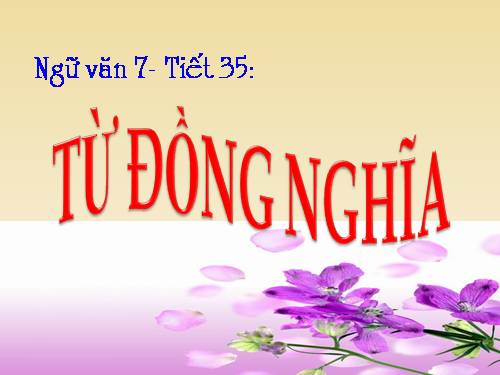 Bài 9. Từ đồng nghĩa