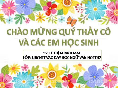 Bài 19. Tục ngữ về con người và xã hội