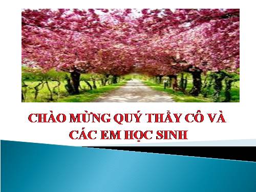Bài 5. Từ Hán Việt