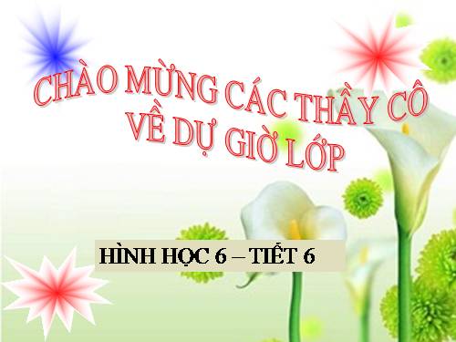 Các bài Luyện tập