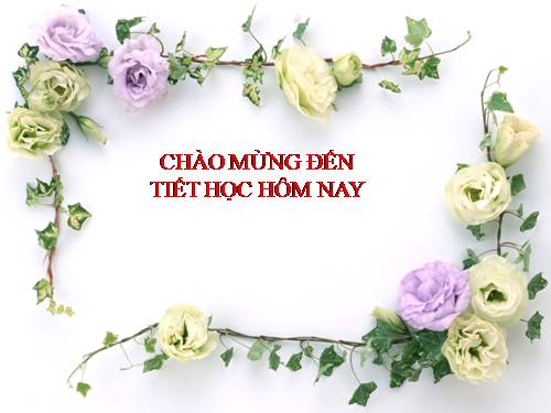 Chương I. §10. Trung điểm của đoạn thẳng