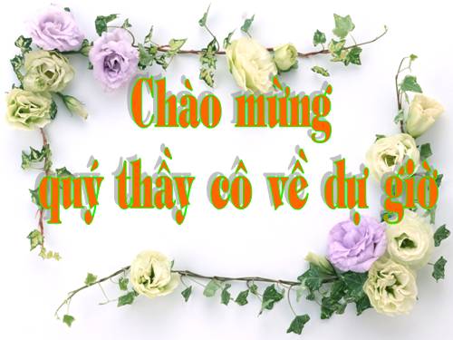 Chương I. §10. Trung điểm của đoạn thẳng