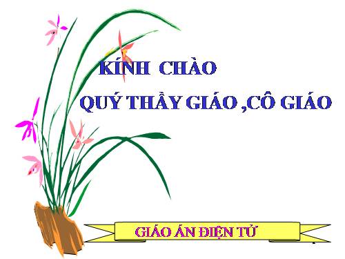 Chương II. §6. Tia phân giác của góc