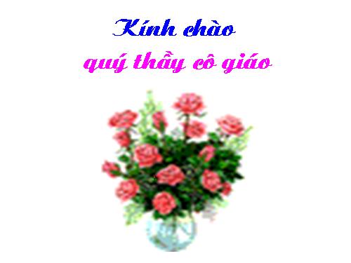 Chương I. §5. Tia