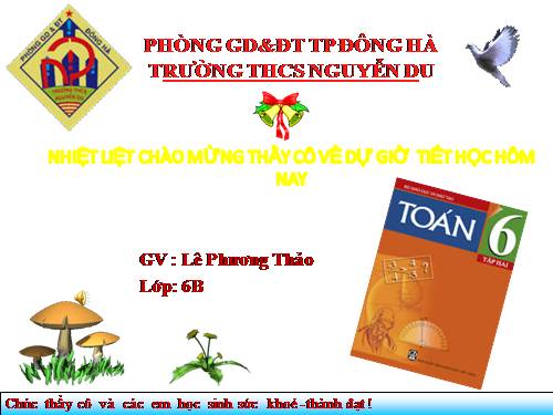 Chương III. §13. Hỗn số. Số thập phân. Phần trăm