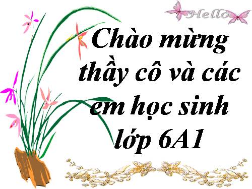 Chương III. §13. Hỗn số. Số thập phân. Phần trăm