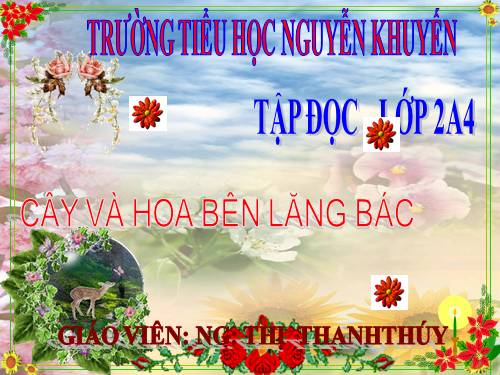 Tuần 31. Cây và hoa bên lăng Bác