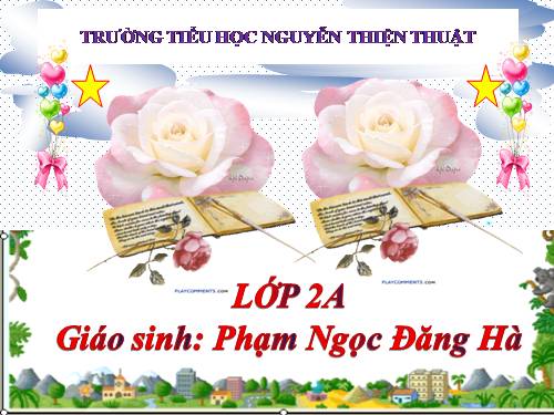 Tuần 28. Cây dừa