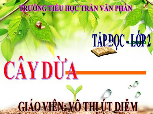 Tuần 28. Cây dừa