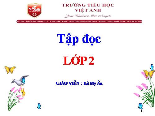 Tuần 28. Cây dừa