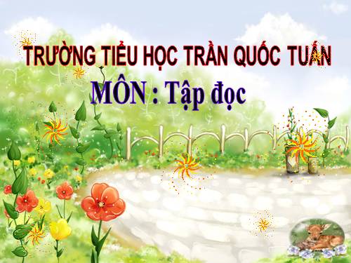 Tuần 28. Cây dừa