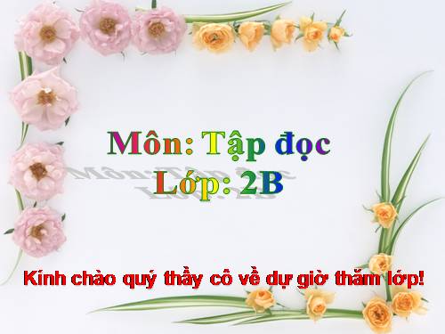 Tuần 28. Cây dừa