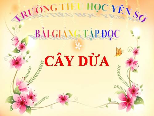 Tuần 28. Cây dừa