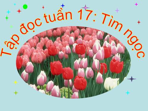 Tuần 17. Tìm ngọc