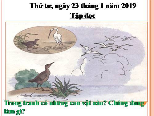 Tuần 22. Cò và Cuốc