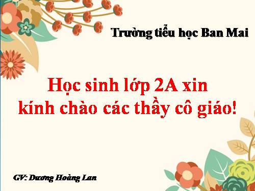 Tuần 21. Chim sơn ca và bông cúc trắng