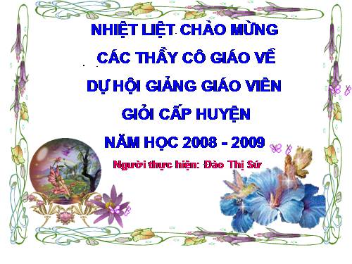 Tuần 24. Gấu trắng là chúa tò mò