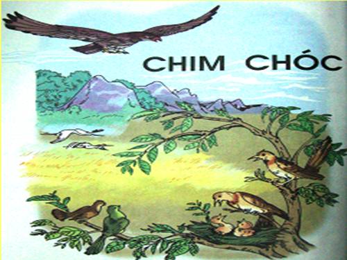 Tuần 21. Chim sơn ca và bông cúc trắng