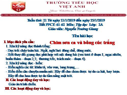 Tuần 21. Chim sơn ca và bông cúc trắng