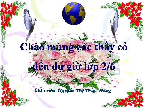 Tuần 20. Mùa xuân đến