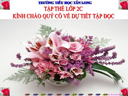 Tuần 10. Sáng kiến của bé Hà