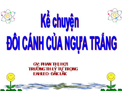 Tuần 29. Đôi cánh của Ngựa Trắng