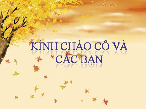 Bài 17. Cân bằng của một vật chịu tác dụng của hai lực và của ba lực không song song