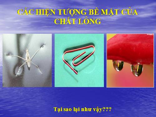 Bài 37. Các hiện tượng bề mặt của chất lỏng