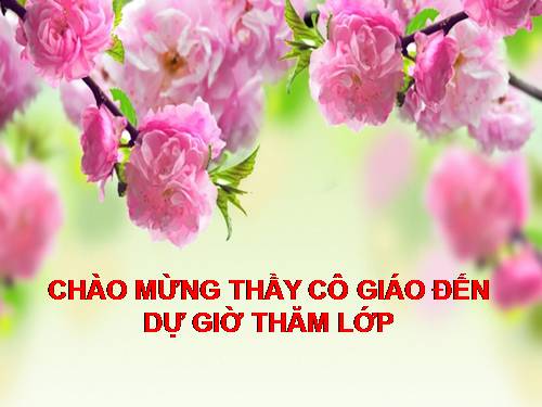 Bài 33. Các nguyên lí của nhiệt động lực học