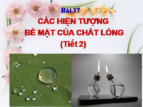 Bài 37. Các hiện tượng bề mặt của chất lỏng