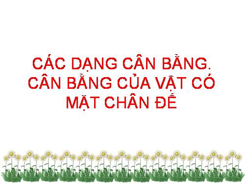 Bài 20. Các dạng cân bằng. Cân bằng của một vật có mặt chân đế