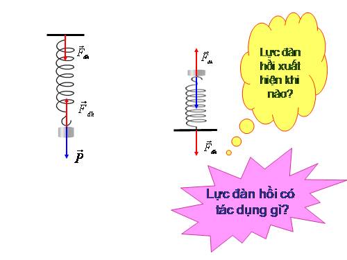 Bài 12. Lực đàn hồi của lò xo. Định luật Húc