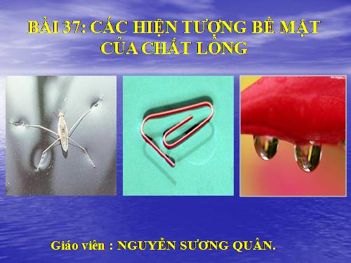 Bài 37. Các hiện tượng bề mặt của chất lỏng