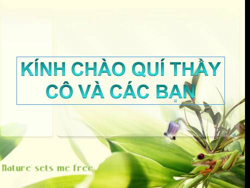 Bài 4. Sự rơi tự do