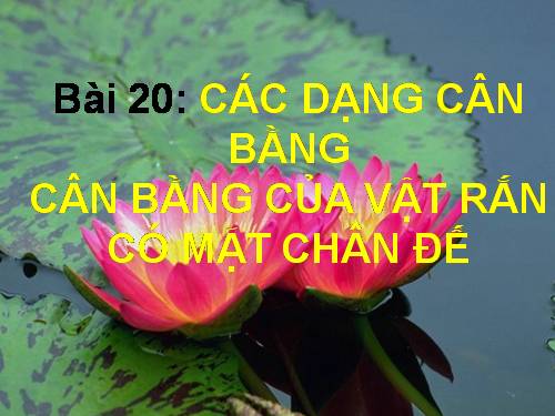 Bài 20. Các dạng cân bằng. Cân bằng của một vật có mặt chân đế