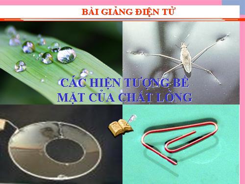 Bài 37. Các hiện tượng bề mặt của chất lỏng