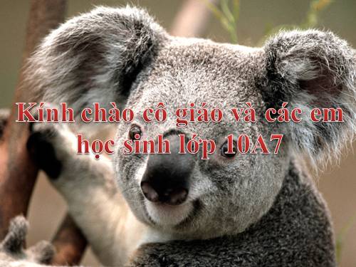 Bài 27. Các yếu tố ảnh hưởng đến sinh trưởng của vi sinh vật