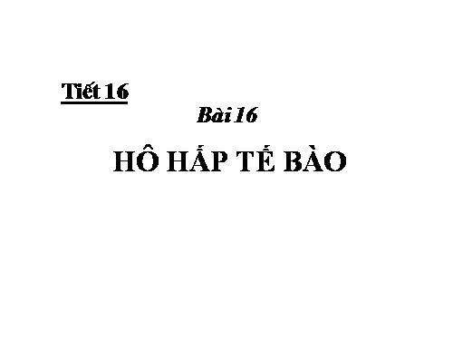 Bài 16. Hô hấp tế bào