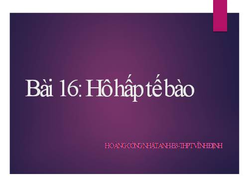 Bài 16. Hô hấp tế bào