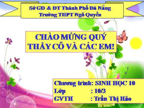 Bài 19. Giảm phân