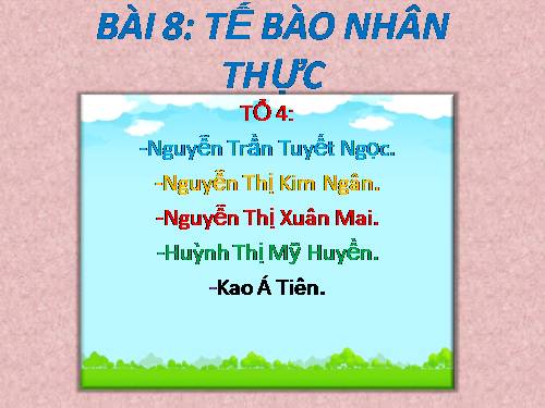 Bài 8. Tế bào nhân thực