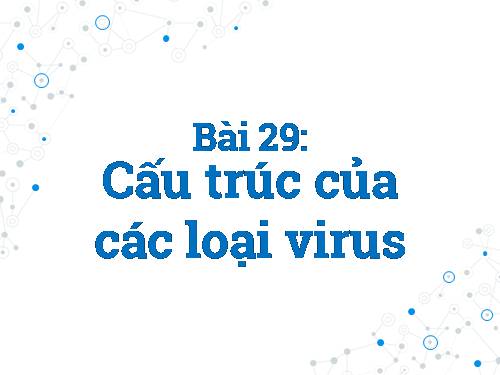 Bài 29. Cấu trúc các loại virut