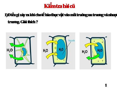 Bài 13. Khái niệm về năng lượng và chuyển hóa vật chất