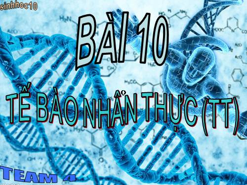 Bài 10. Tế bào nhân thực (tiếp theo)