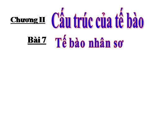 Bài 7. Tế bào nhân sơ